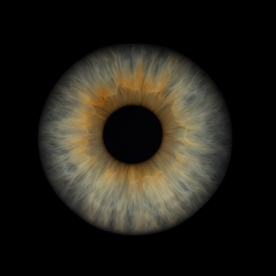 Burgess Iris Website 1 Burgess Iris Website 1