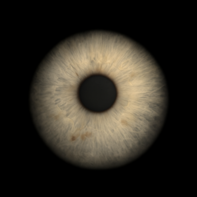 J Sherman Iris IG + Website (1) J Sherman Iris IG + Website (1)